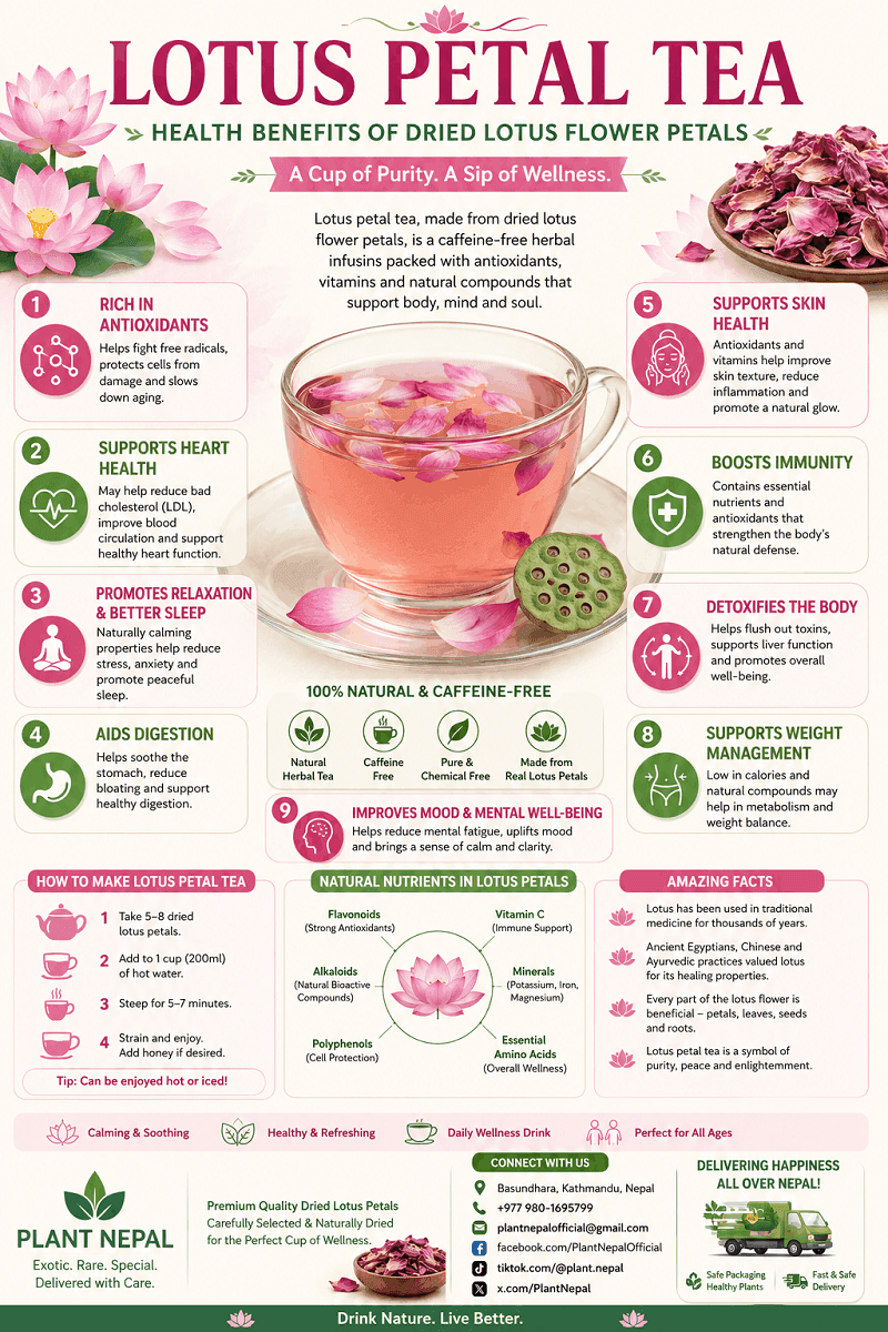 Lotus Petals Tea