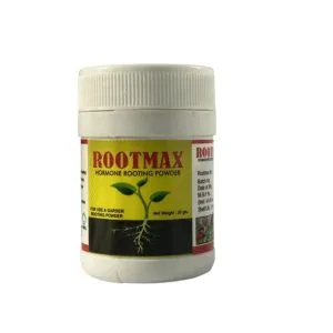 Rooting Hormone Powder
