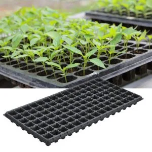 Seed Tray 105 Holes