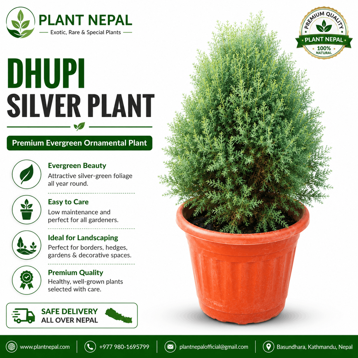 Dhupi Silver Plant