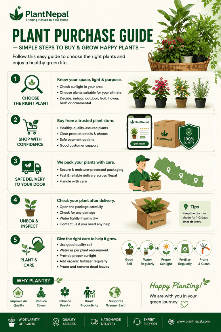 Plant Nepal Purchase Guide