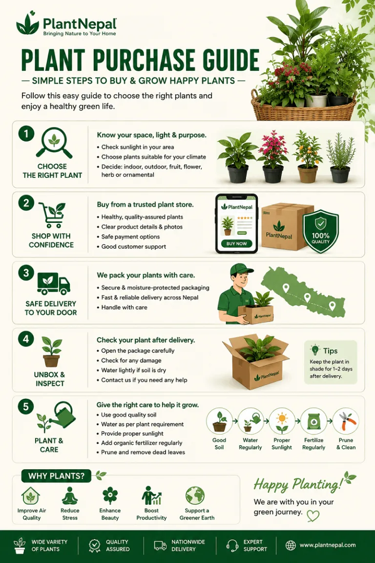 Plant Nepal Purchase Guide